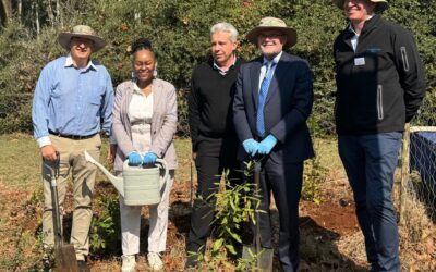 Minister George and Deputy Minister Singh visit the Forestry Industry