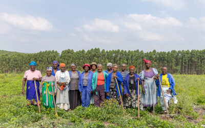 Nuts About MTO Forestry Initiative to Empower Women