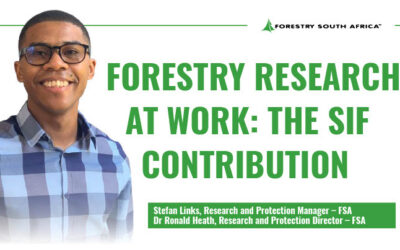Forestry Research at Work: The SIF Contribution