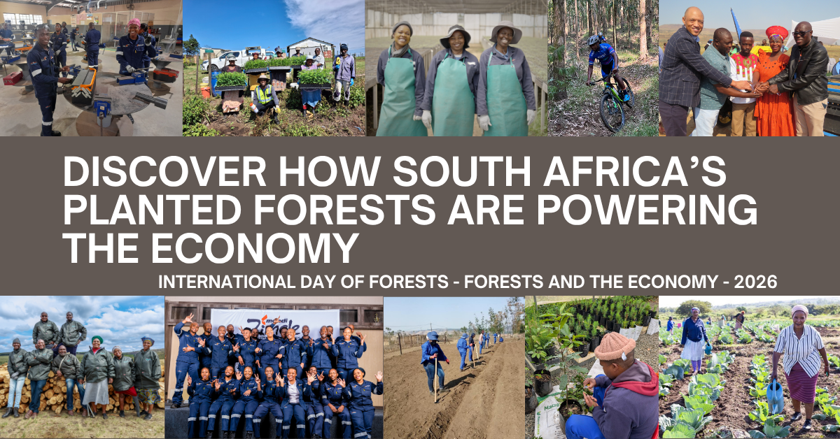 International Day of Forests