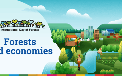 Celebrating International Day of Forests and the Economic Contribution of South Africa’s Planted Forests