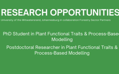 Research Opportunities at the University of Witwatersrand