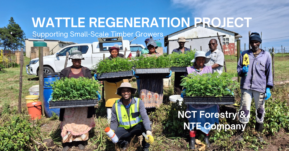 Growing Skills, Growing Communities: NCT’s Learnership Programme in Enyathi