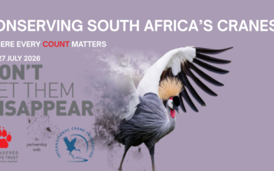 Supporting the EWT Protecting Cranes